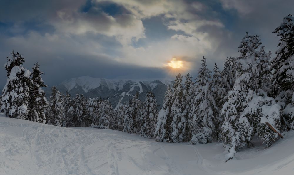 Photograph by Валерий Одинцов