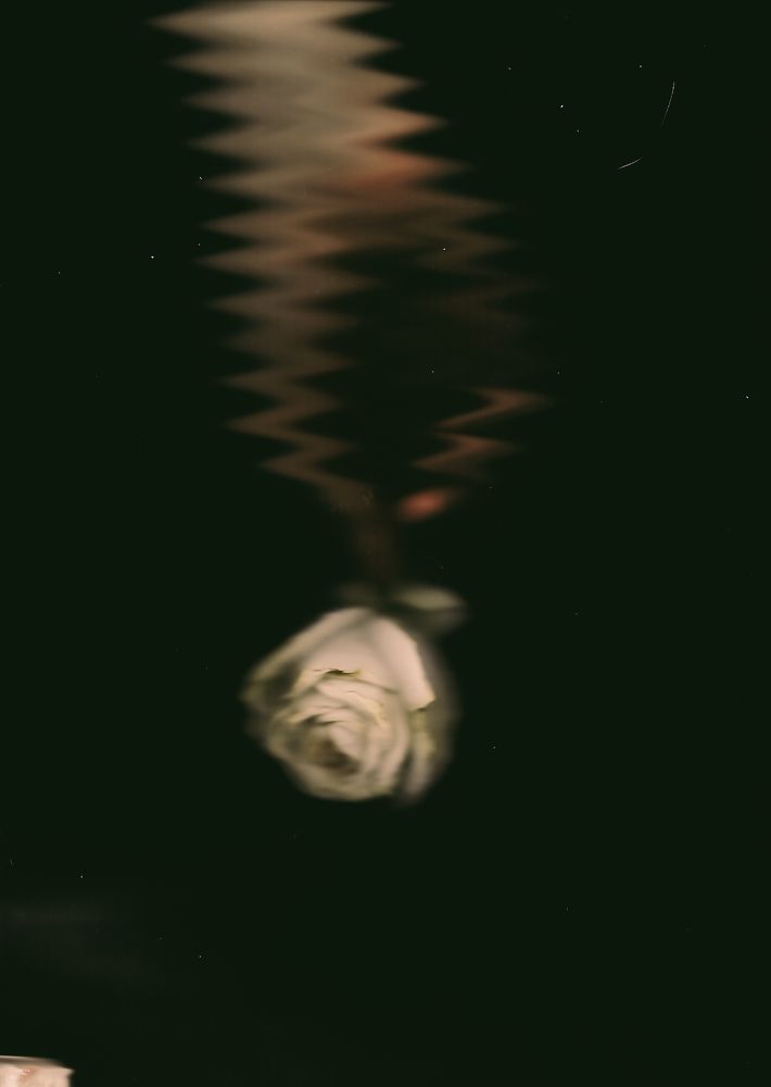 Photograph by Alena Gurenchuk