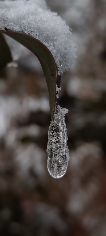 Photograph by Alena Gurenchuk