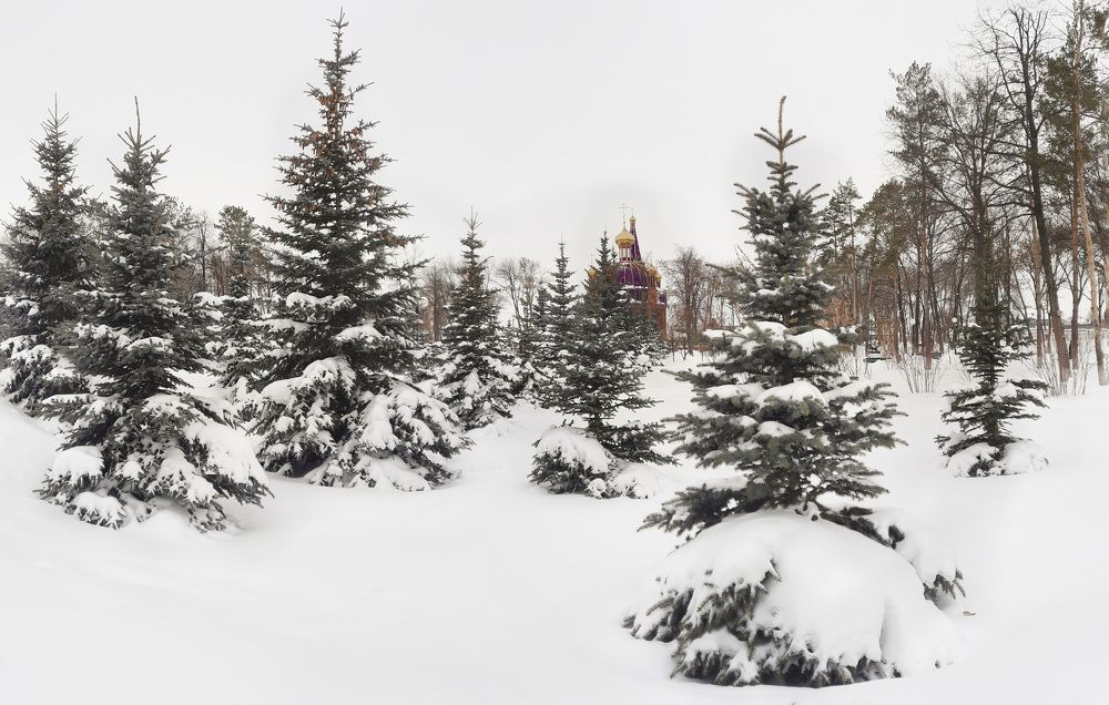 Кафедральный собор в честь великомученика Георгия Победоносца г.о. Кинель