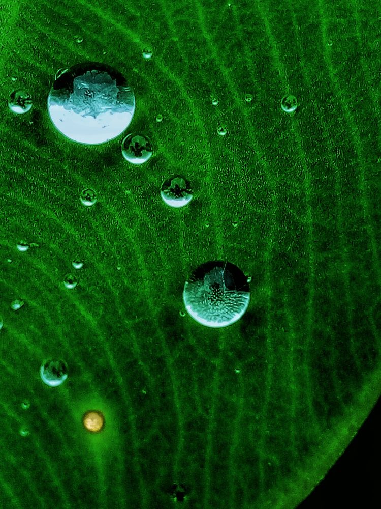 Photograph by Niazul Islam Maruf