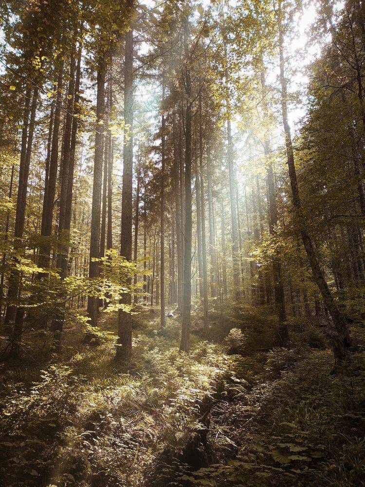 Photograph by Андрій Максимович