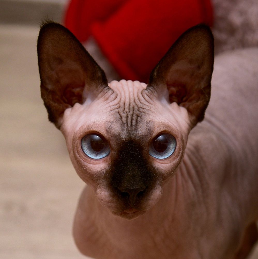 Photograph by Ксения Щербань