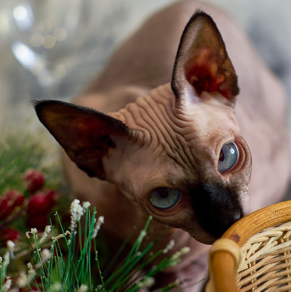 Photograph by Ксения Щербань