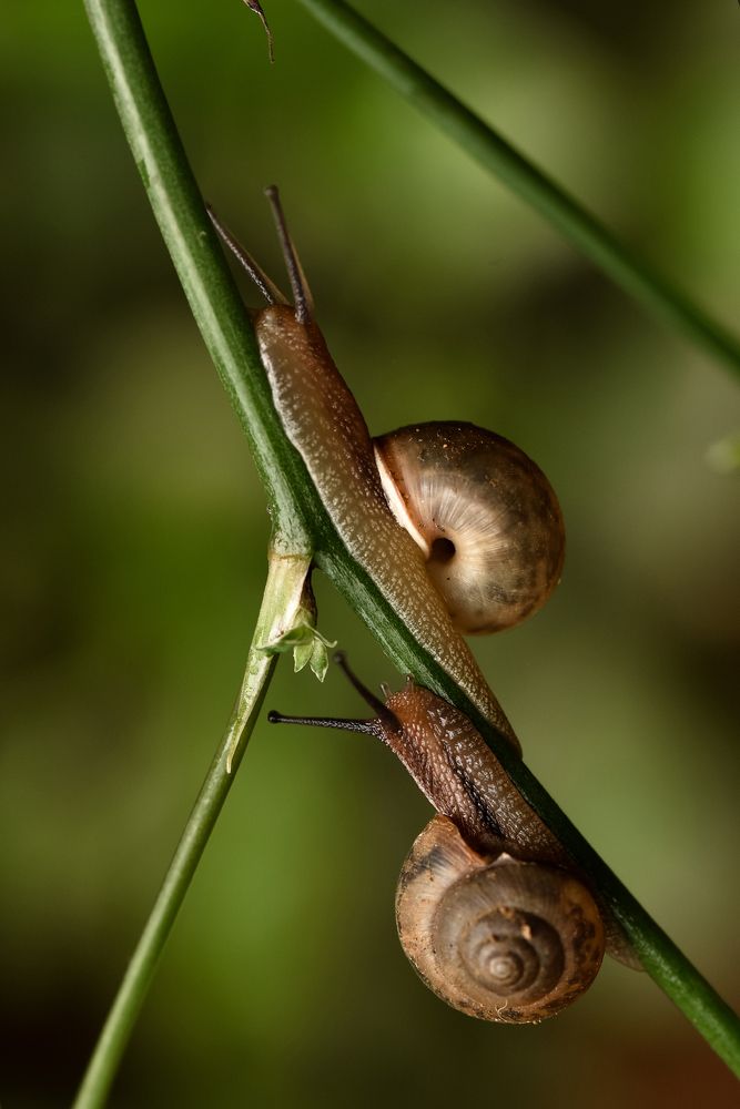 Photograph by LE CONG BINH
