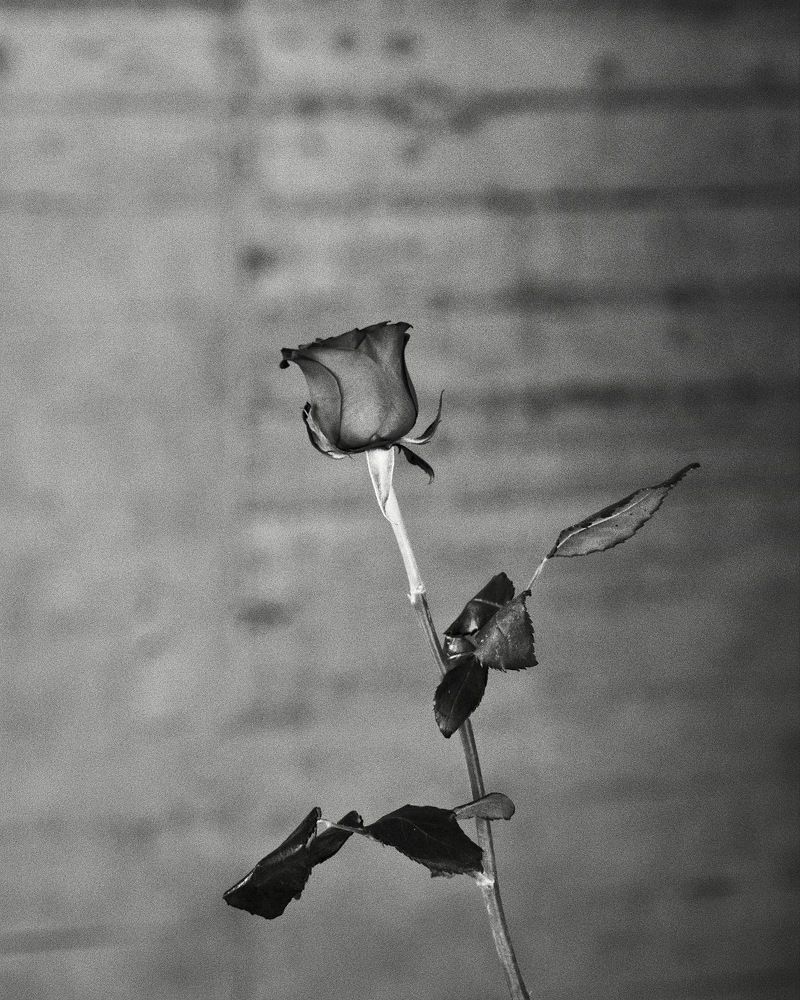 Photograph by POLYVIOS IOANNIDIS