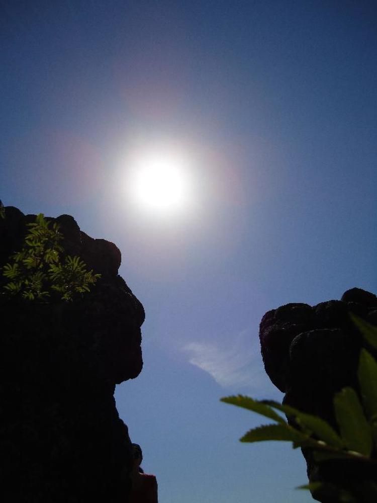 Photograph by Владимир Носов