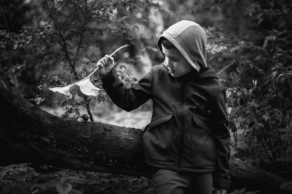 Photograph by Тетяна Підіпригора