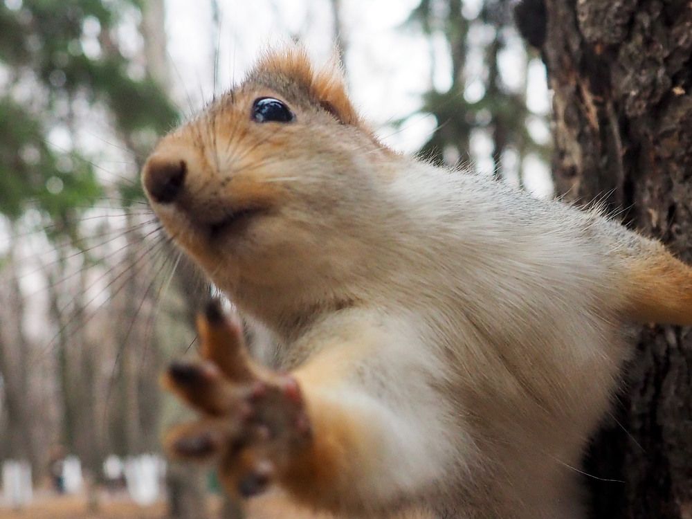 Photograph by Elena Khalizova