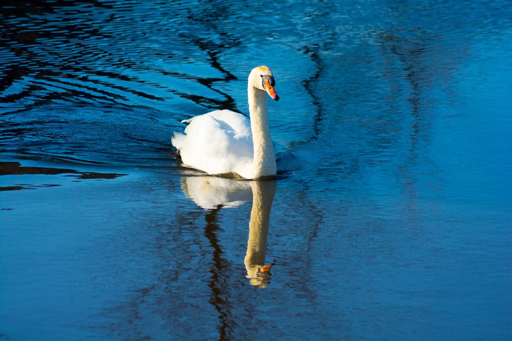 Photograph by Nacho Zabal