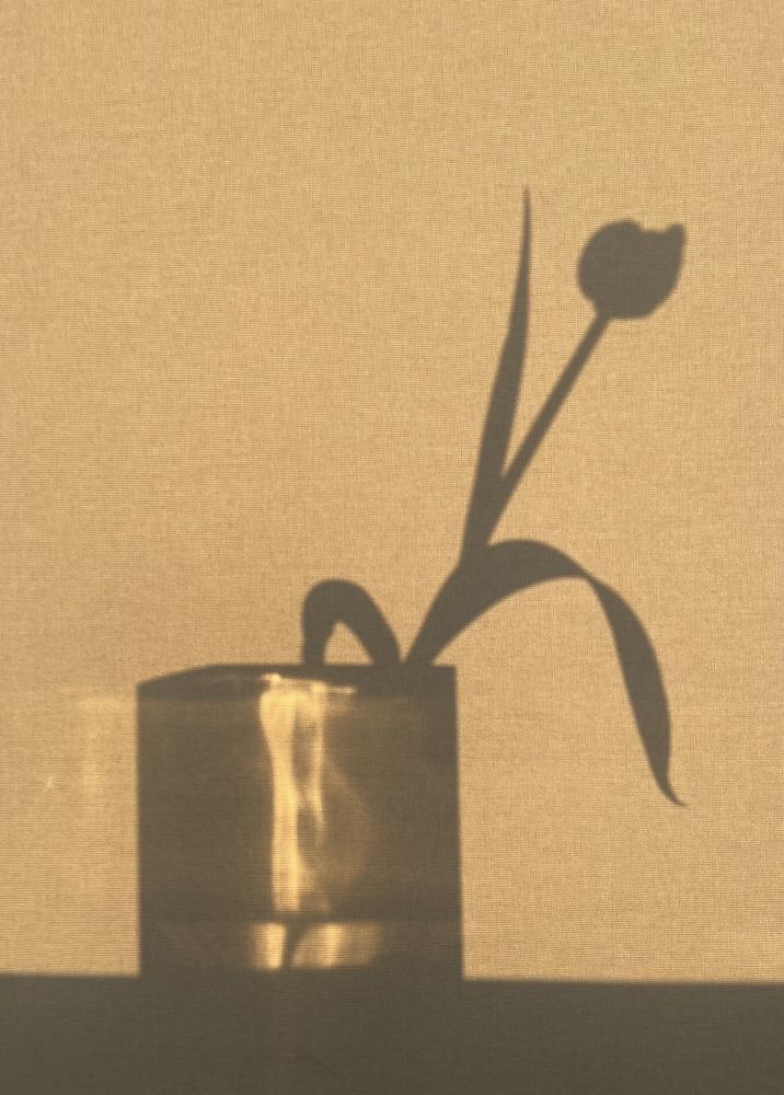 Photograph by Ольга Копина