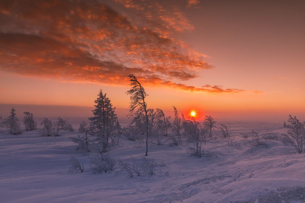 Photograph by Евгений Кужилев