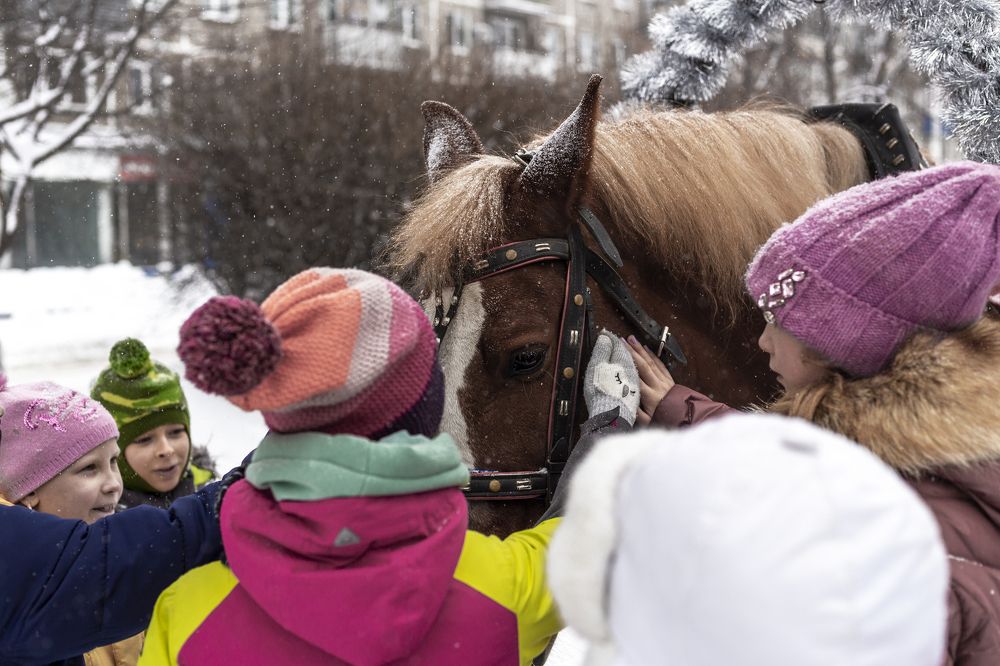 Photograph by Евгений Вяткин
