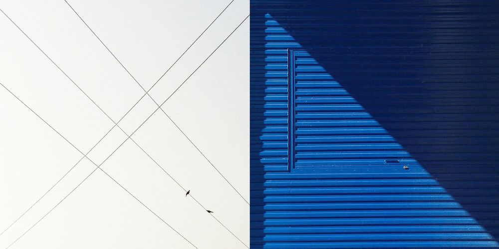 The pyramid of life.