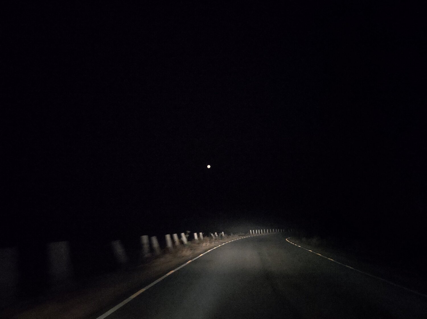 Photo #5945720