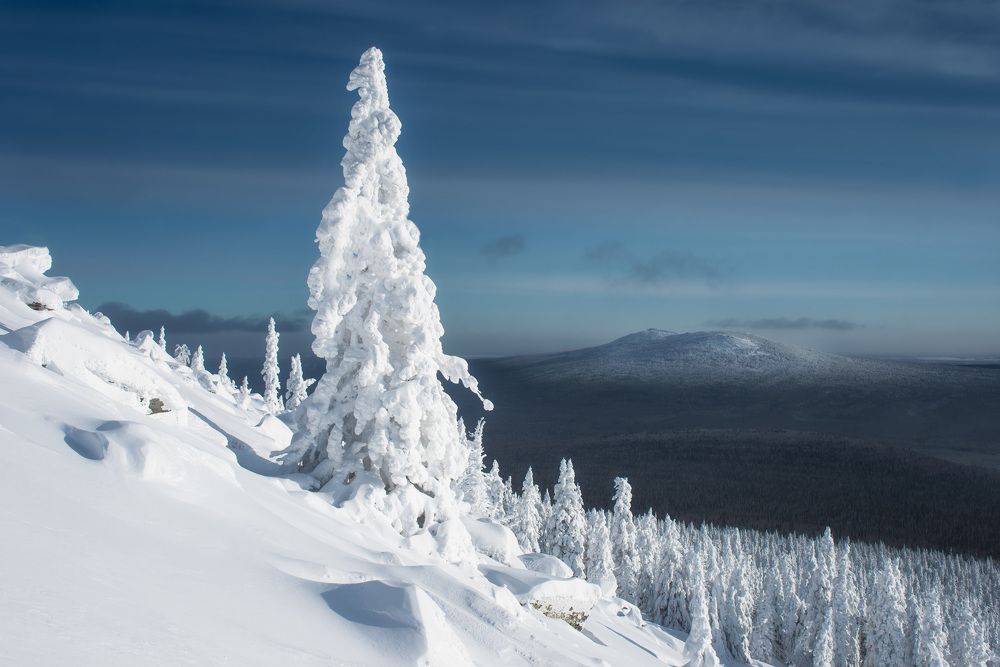 Photograph by Евгений Кудымов