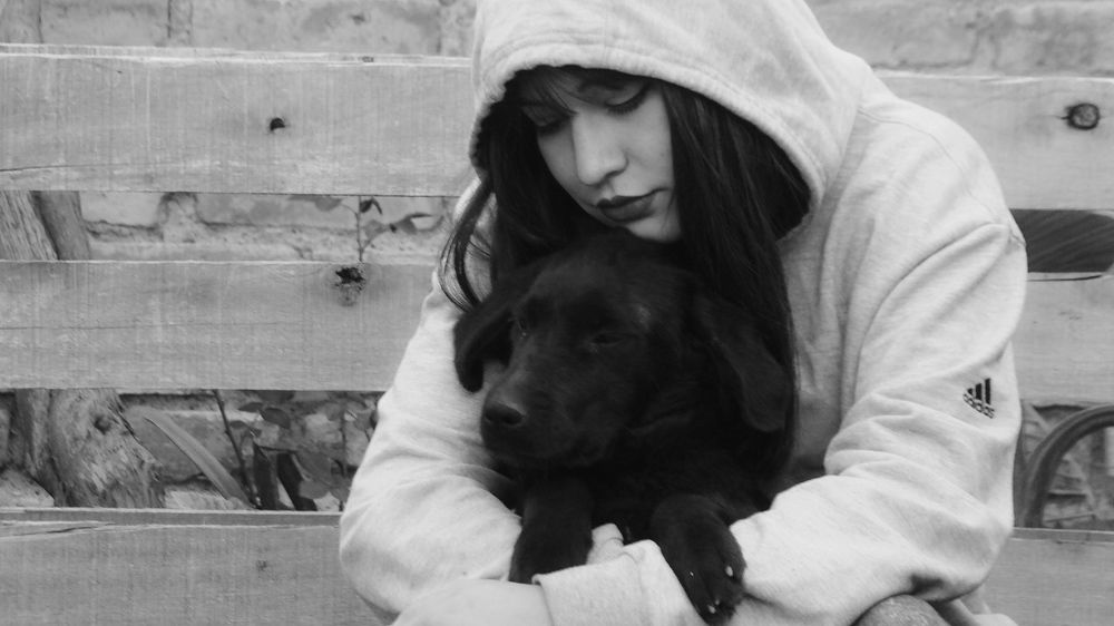 Photo #5945950
