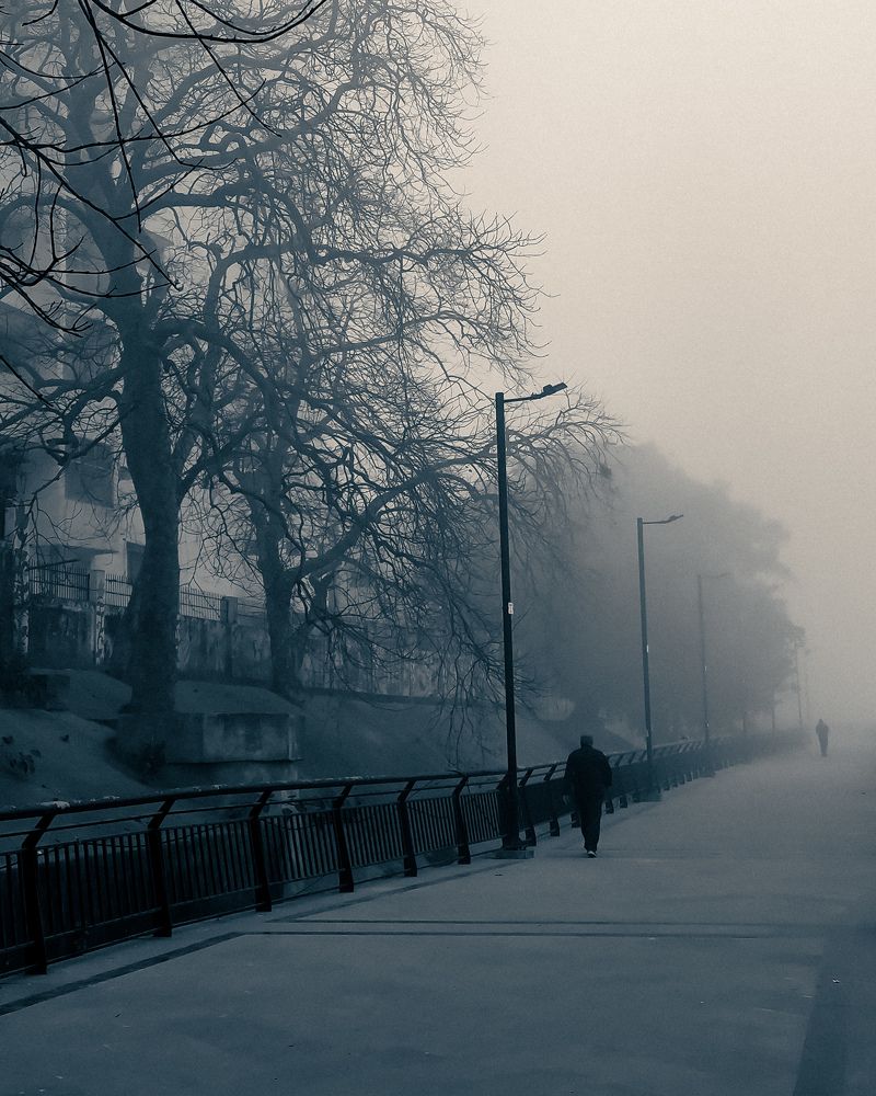FOGG AND GRAIN