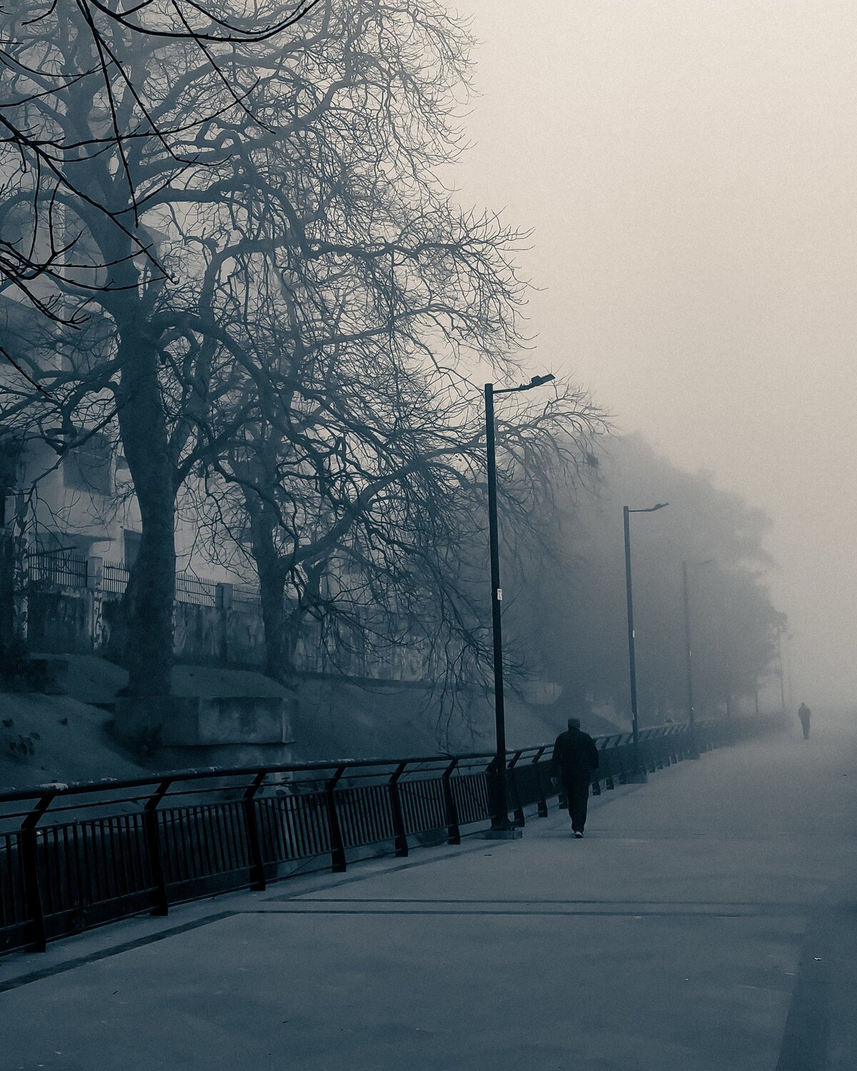 FOGG AND GRAIN