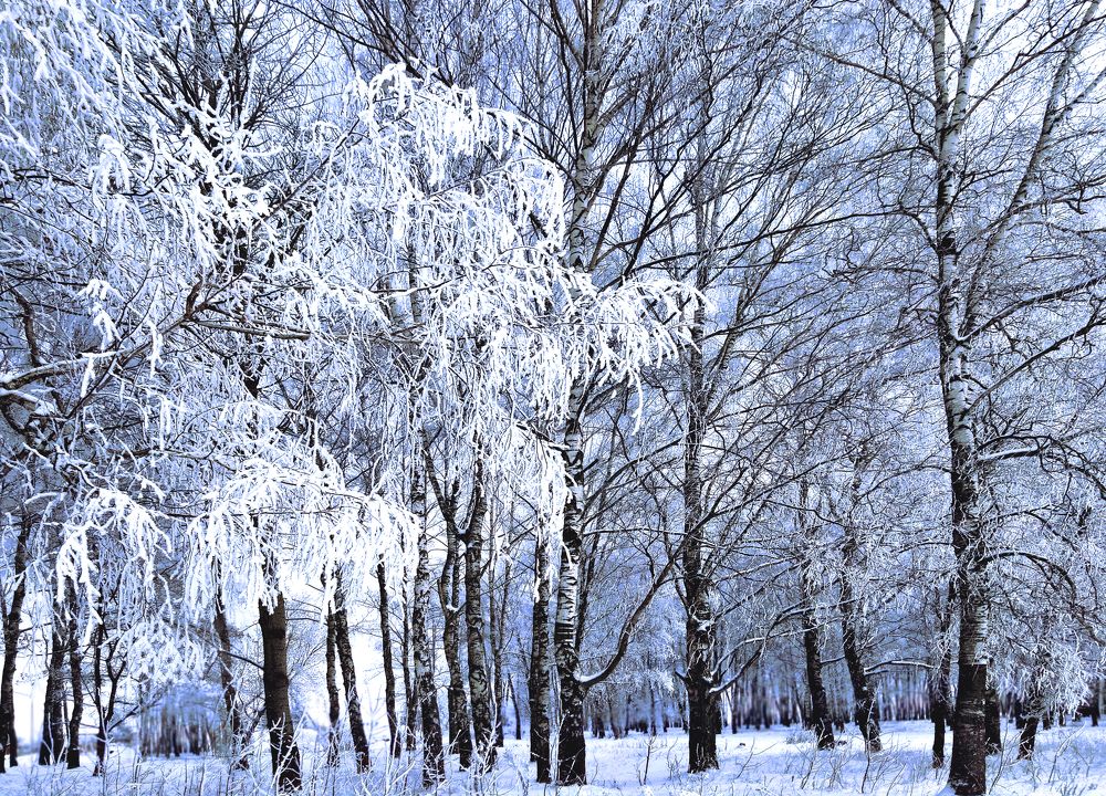 Photograph by Валерий Баранчиков