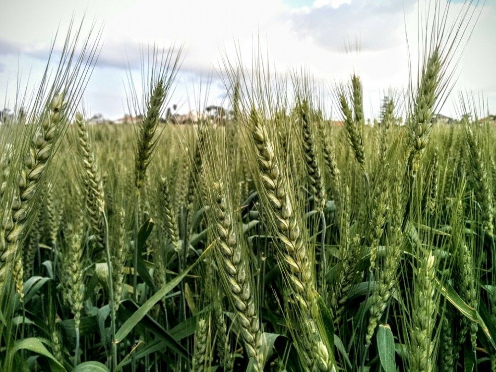 Фотография автора Alex Muchnik