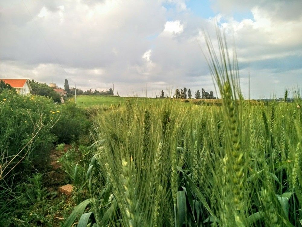 Фотография автора Alex Muchnik