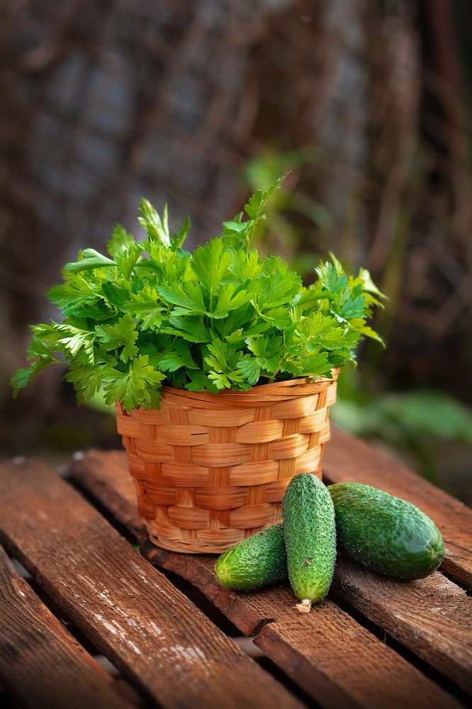 Фотография автора Aлена Хлопова