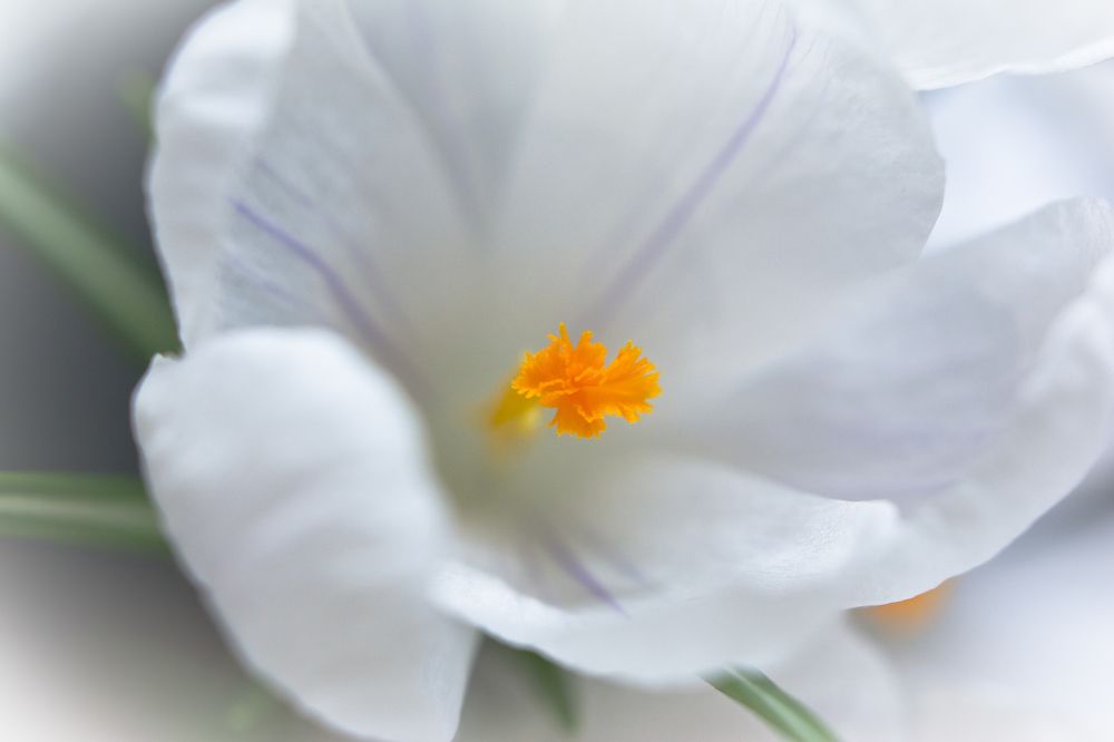 Photograph by Дмитрий Жижин