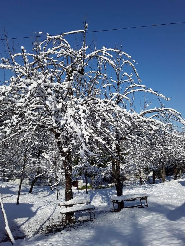 Абхазия. Первый снег