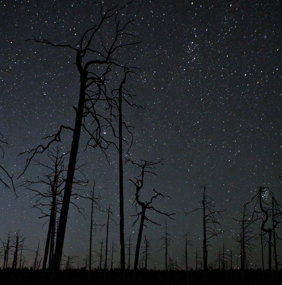 Photograph by Юрий Кузьмин
