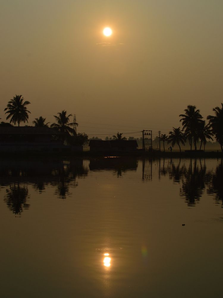 Morning At Kuttanad