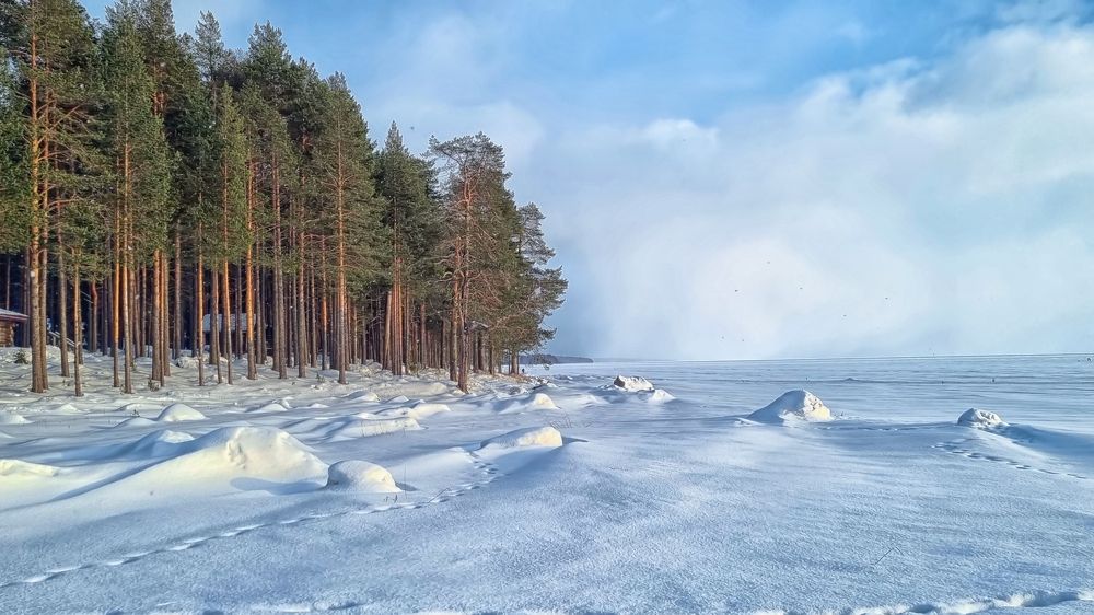 Photograph by Анна Кривицкая
