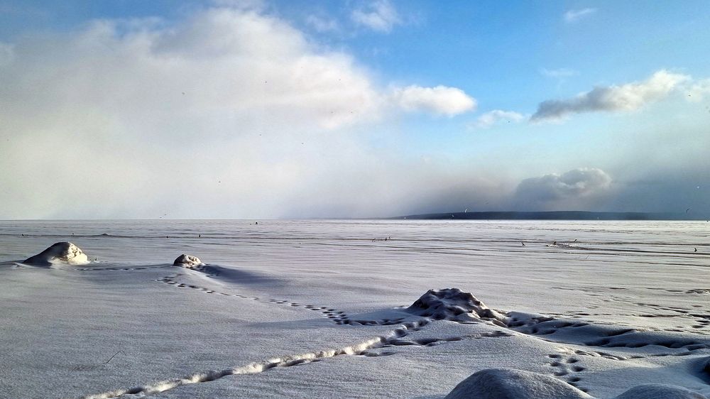 Photograph by Анна Кривицкая