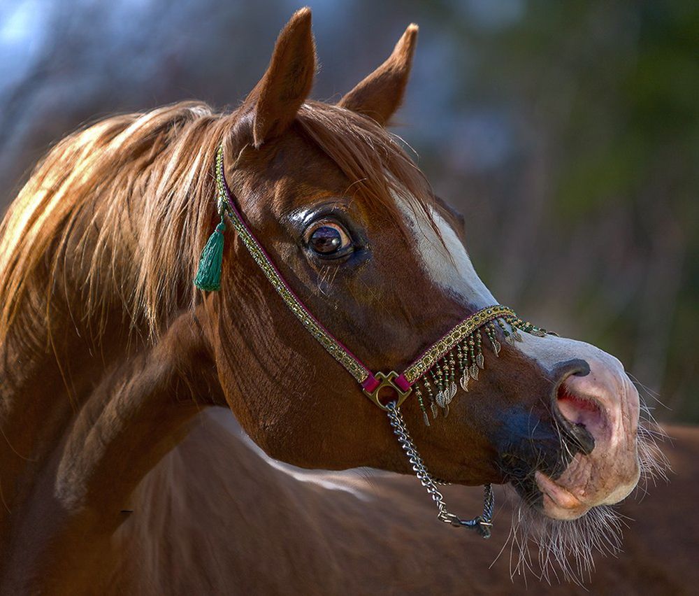Фотография автора игорь перфильев