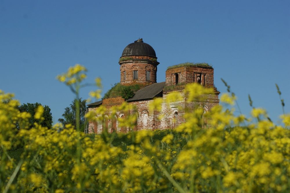 Фотография автора Светлана Ларина