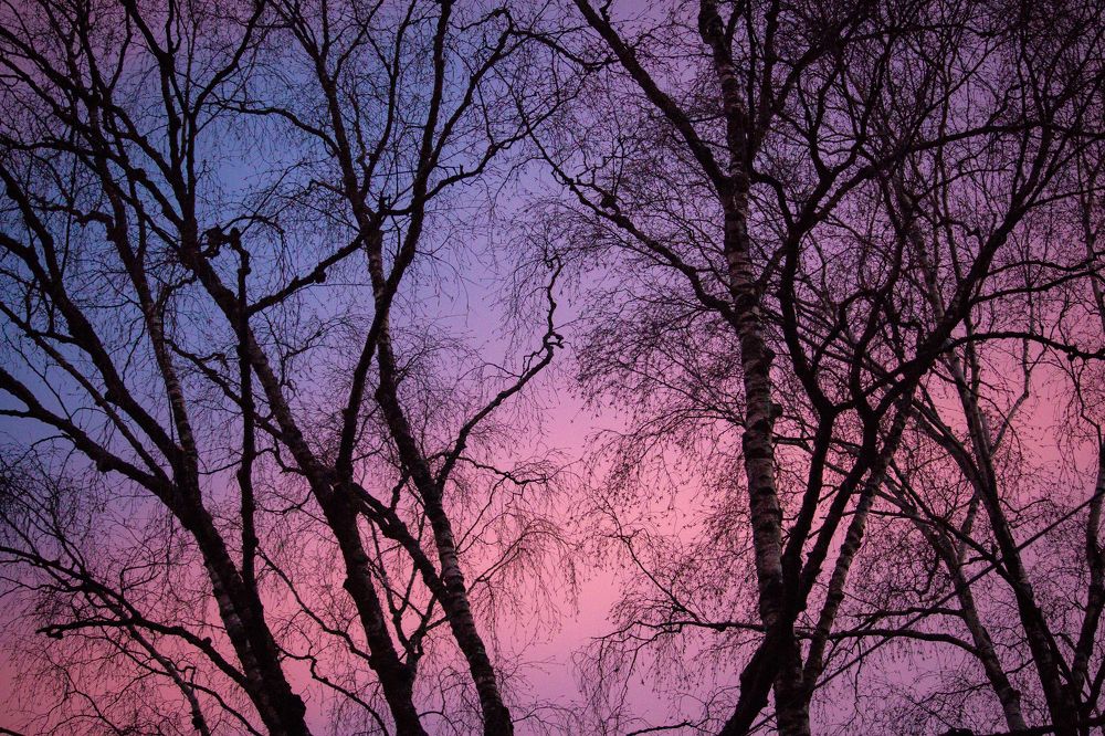 Photograph by Julia Andersen