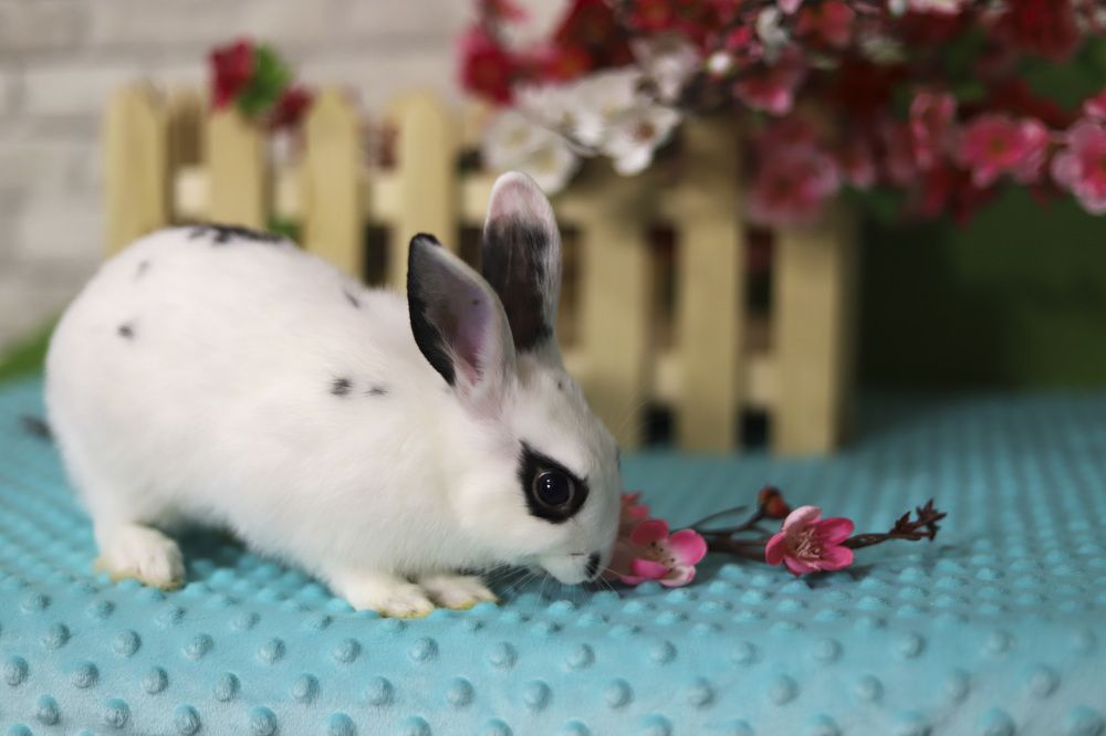 Photograph by Светлана Семакина