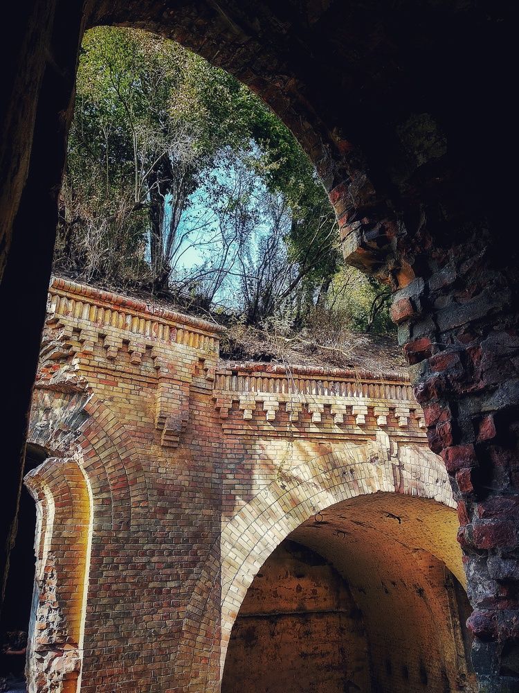 Photograph by Богданна Кудрик