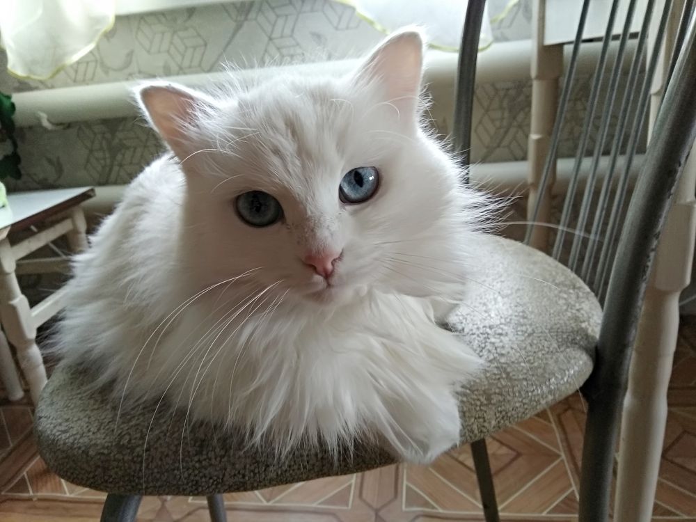 Photograph by Татьяна Котельникова