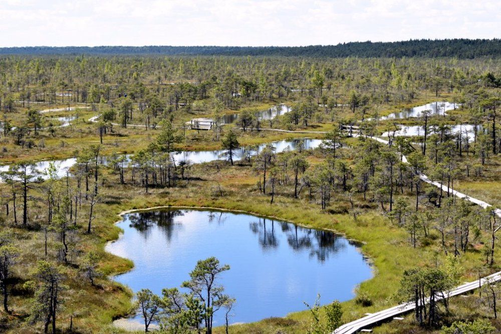 Тропа большого Кемерского болота