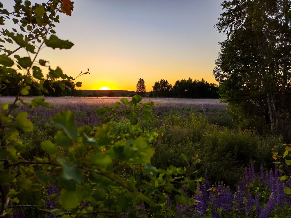 Photograph by Екатерина Шилина