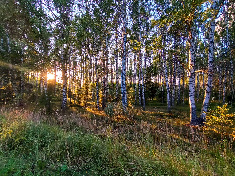 Photograph by Екатерина Шилина