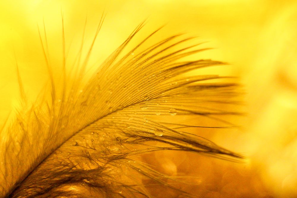 Photograph by Екатерина Шилина