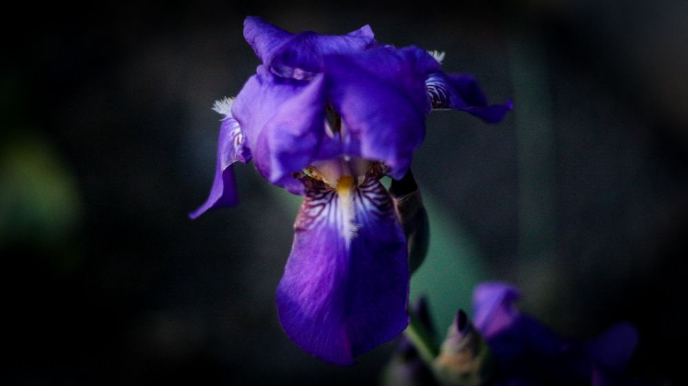 Photograph by Екатерина Шилина