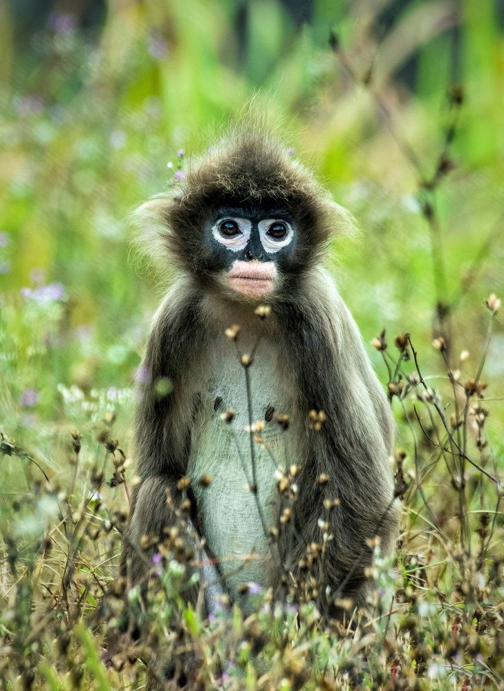 Photograph by Madhurya Mozumder