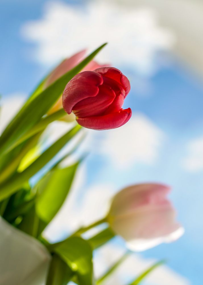 Photograph by Reinhold Seibel