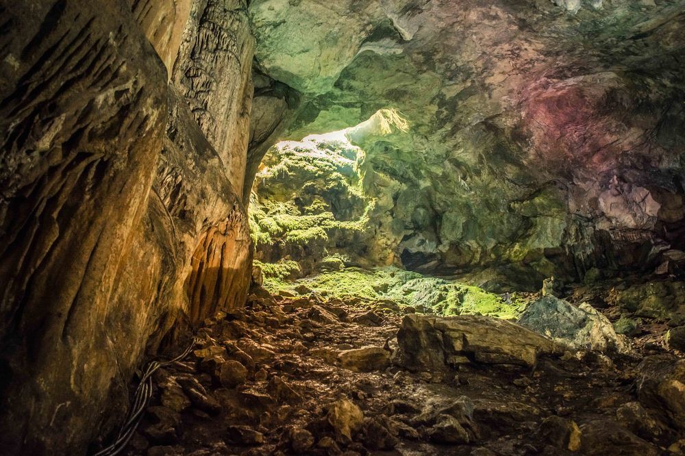 Photograph by AlyaLeta