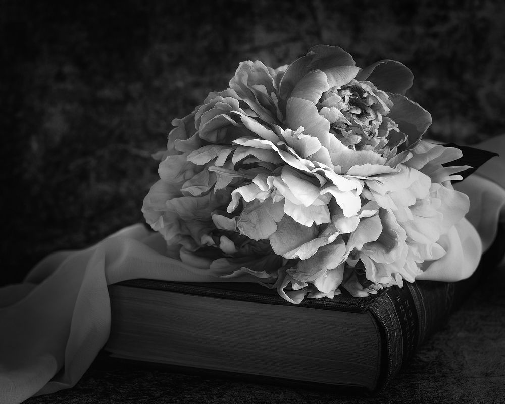 Photograph by Anna Sindikayeva