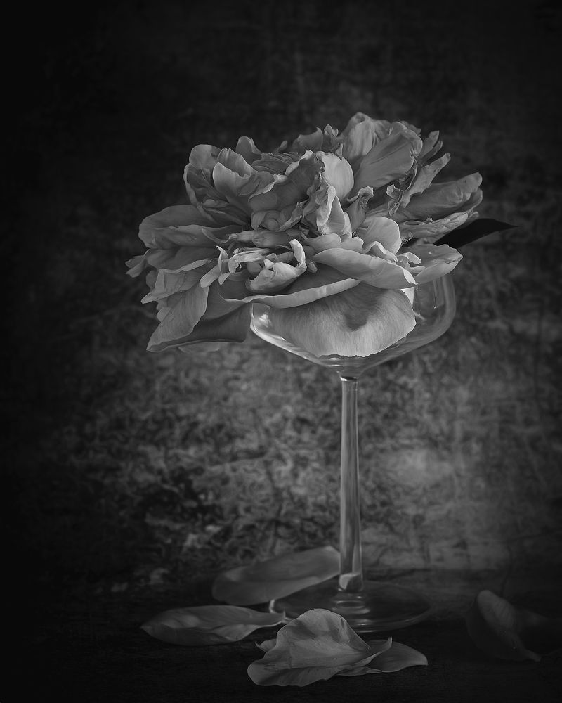 Photograph by Anna Sindikayeva