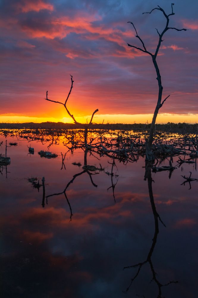 Photograph by Miguel Diaz